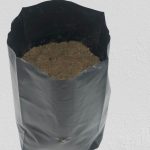 Nursery Grow Bags LDPE (6*8) 50 Counts